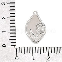 Pendentifs en acier inoxydable 304&nbsp;SA-CBAF4B0-04P-05