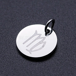 Anlaufgeschützte Charms aus Edelstahl 201&nbsp;STAS-T049-T643-6P