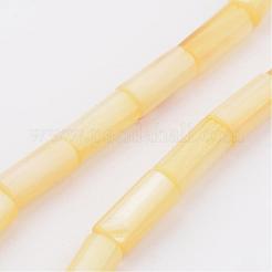 Conchiglia naturale fili di perle&nbsp;BSHE-P012-M