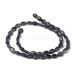 Natürliche schwarze Larvikit-Perlenstränge&nbsp;G-Z006-A03