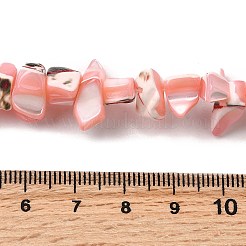 Natürliche Trochidschale / Trochusschalenperlenstränge&nbsp;SHEL-B003-02C
