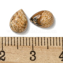 Natur Bildjaspisses cabochons&nbsp;G-Q173-02B-13