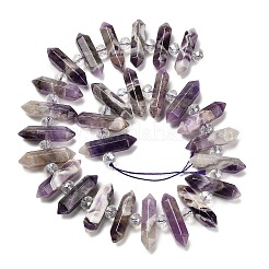Natürliche Amethyst-Doppelendperlenstränge&nbsp;G-H069-B16-01