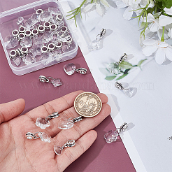 30 Stück 10 Stile Glas europäischen Baumeln Charms&nbsp;PALLOY-GA00046