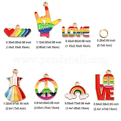 14 pz 7 stili arcobaleno tema orgoglio ciondoli in lega smaltata&nbsp;ENAM-FP0001-87