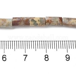 Shoushan Natursteinperlen Stränge&nbsp;G-Q169-A03-01