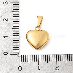 Pendentifs en acier inoxydable 304&nbsp;STAS-C163-02A-G