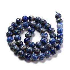 Natürliche Lapislazuli runde Perle Stränge&nbsp;G-E262-01-8mm