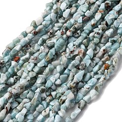 Larimar Naturperlen Stränge&nbsp;G-I389-A18