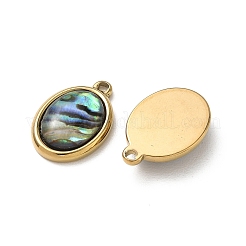 Natur Paua Muschel Anhänger&nbsp;STAS-G397-06G-02