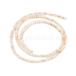Natürlichen Süßwasser-Muschelperlen Stränge&nbsp;SHEL-T011-02-4mm