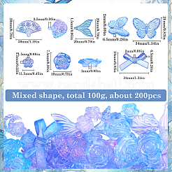 100 g transparente&nbsp;RESI-SC0003-26
