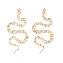 Orecchini in lega&nbsp;EJEW-R021-03KCG-03