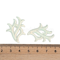 Durchscheinende Decoden-Cabochons aus Epoxidharz&nbsp;CRES-S367-19C