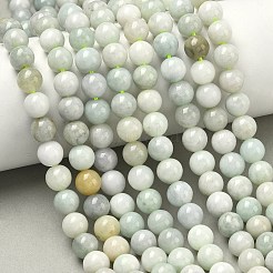 Natürliche myanmarische Jade / burmesische Jade-Perlenstränge&nbsp;G-K310-C05-8mm-01