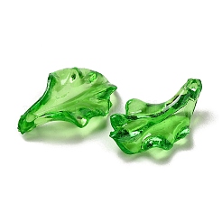 Transparenten Acryl-Anhänger&nbsp;OACR-E039-69E