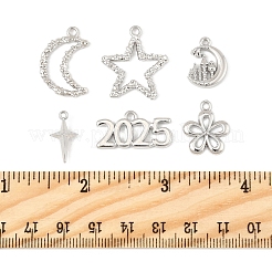 12 pièces 6 styles pendentifs en alliage&nbsp;FIND-FS0003-38P