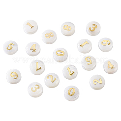 20 Stück 10 Stile natürliche weiße Muschel flache runde Perlen&nbsp;BSHE-PH0001-62