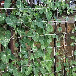 Polyester-Pflanzenranknetz für den Garten&nbsp;AJEW-WH0609-869