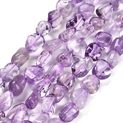 Natürlichen Amethyst Perlen Stränge&nbsp;G-P568-C04-01
