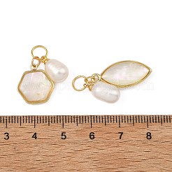 Natürliche weiße Muschel Anhänger&nbsp;PALLOY-JF05826