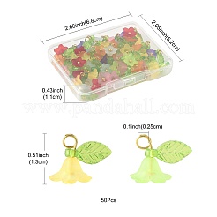 Colgantes de acrílico transparente 50pcs&nbsp;PALLOY-FS00043-06