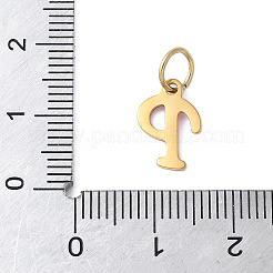 Dijes de esmalte de acero inoxidable 304&nbsp;STAS-G353-01G-P