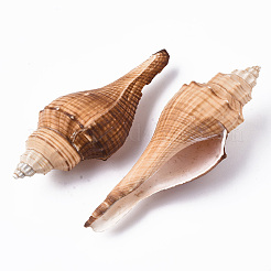 Perles de coquillage naturel&nbsp;LS-SSHEL-T015-03