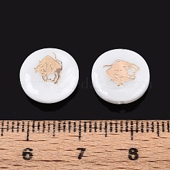 Perles de coquillages naturels d'eau douce&nbsp;SHEL-N037-02A-G