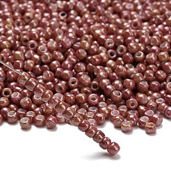 Perles rondes Toho 6/0&nbsp;X-SEED-TR06-1201
