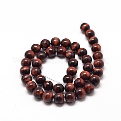 Tigre rouge naturel chapelets de perles d'oeil&nbsp;G-P072-52-6mm-A
