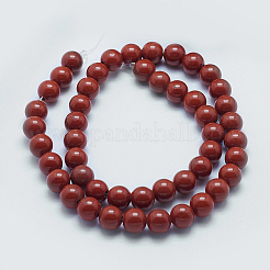Natürliche rote Jaspis Perlen Stränge&nbsp;X-G-I199-25-6mm