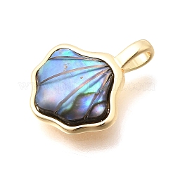 Anhänger aus Messing mit natürlicher Abalone-/Paua-Muschel&nbsp;KK-N289-06G