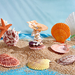 40 Stück natürliche Muschel für Aquariendekorationen&nbsp;SHEL-PH0001-69A