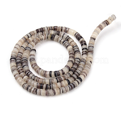 Labbro nero perline shell fili&nbsp;SSHEL-Q300-008