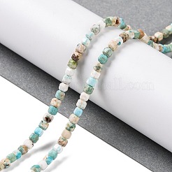 Fili di perline howlite naturale&nbsp;G-H025-04A