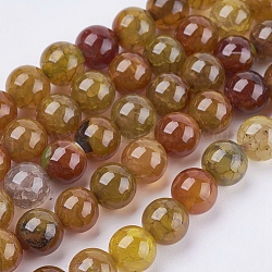Filo di perline agata tondo naturale, tinto, sella marrone, 8mm, Foro: 1 mm, circa 48pcs/filo, 15.74 pollice