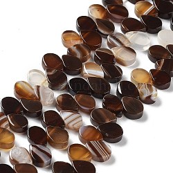 Filo di perline di agata naturale, tinti e riscaldato, top forato, lacrima, sella marrone, 8x5x3mm, Foro: 0.8~1 mm, circa 52~55pcs/filo, 7.48~7.87 pollice (19~20 cm)
