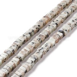 Fili di perle di diaspro / kiwi di sesamo naturale, cubo, 6x6x1.5~3mm, Foro: 1.4 mm, circa 112~113pcs/filo, 14.96~15.16 pollice (38~38.5 cm)