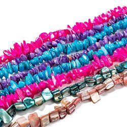 Natural Shell Beads Strands, Dyed, Chips, Mixed Color, 3~20x2~20x1~9mm, Hole: 0.5~1mm, about 49~440pcs/Strand, 14 inch~35 inch(35.56~88.9cm)