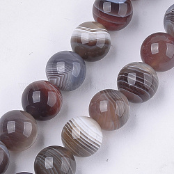 Chapelets de perles en agate naturelle du Botswana, ronde, 10mm, Trou: 1mm, Environ 18~20 pcs/chapelet, 7.4 pouce
