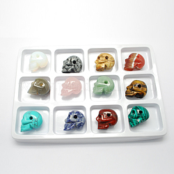 Perles en pierre précieuse naturelles & synthétiques, mixedstyle, crane, pour halloween, pierre mixte, 24x19x28mm, Trou: 4mm, 12 pcs / boîte