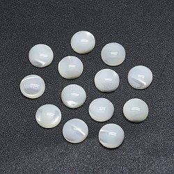 Shell Cabochons, Flat Round, 6x2~2.5mm