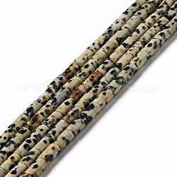 Chapelets de perles en jaspe dalmatien naturelle, colonne, 7~8x4mm, Trou: 0.9mm, Environ 54 pcs/chapelet, 15.47'' (39.3 cm)