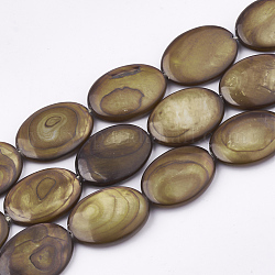 Abalorios de concha de agua dulce hebras, teñido, oval, oliva, 17.5~18x12~13x3mm, agujero: 1 mm, aproximamente 23 pcs / cadena, 16.3 pulgada