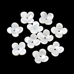 Tappi di perline naturali d'acqua dolce, fiore, colore conchiglia, 8~8.5x2.5mm, Foro: 1 mm