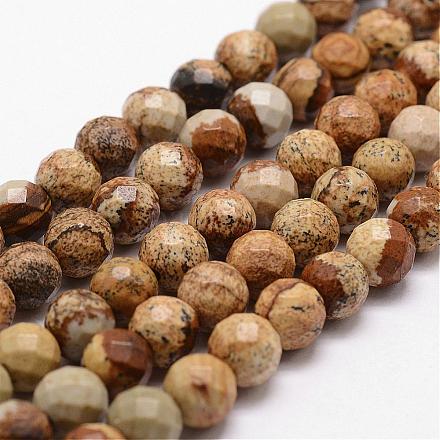Chapelets de perles en jaspe avec images naturelles G-D840-47-8mm-1