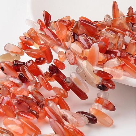 Nuggets naturale agata rossa fili di perline G-M342-12-1