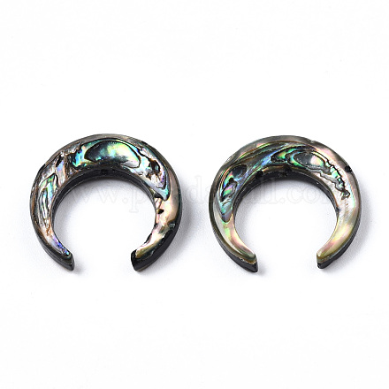 Perles de coquille d'ormeau naturel/coquille de paua SSHEL-N034-122A-01-1