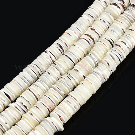 Brins de perles de coquillages naturels de troca SSHEL-N034-163B-1